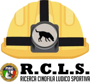 RCLS.eu